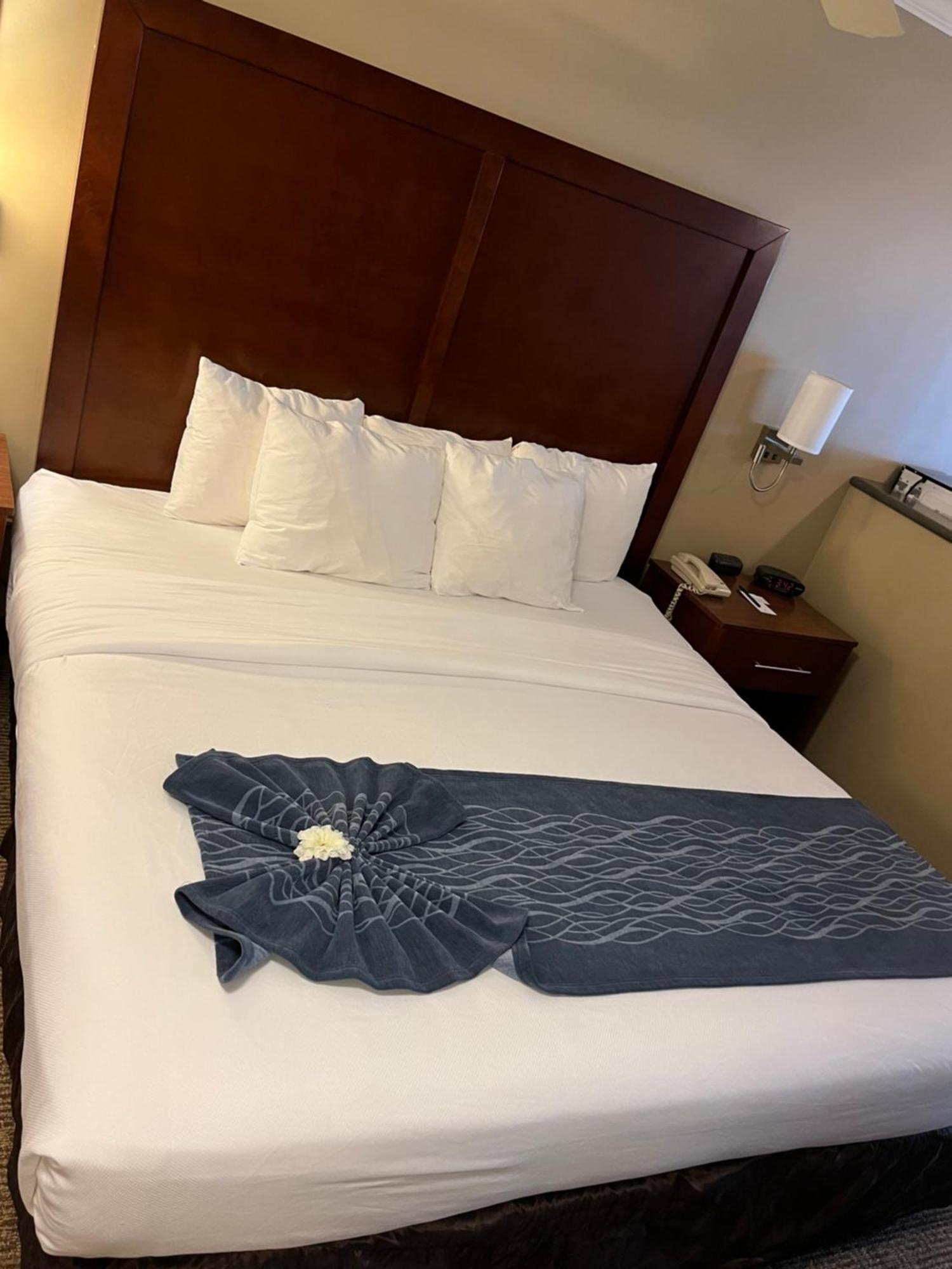 Comfort Inn & Suites Ocean Shores Zewnętrze zdjęcie